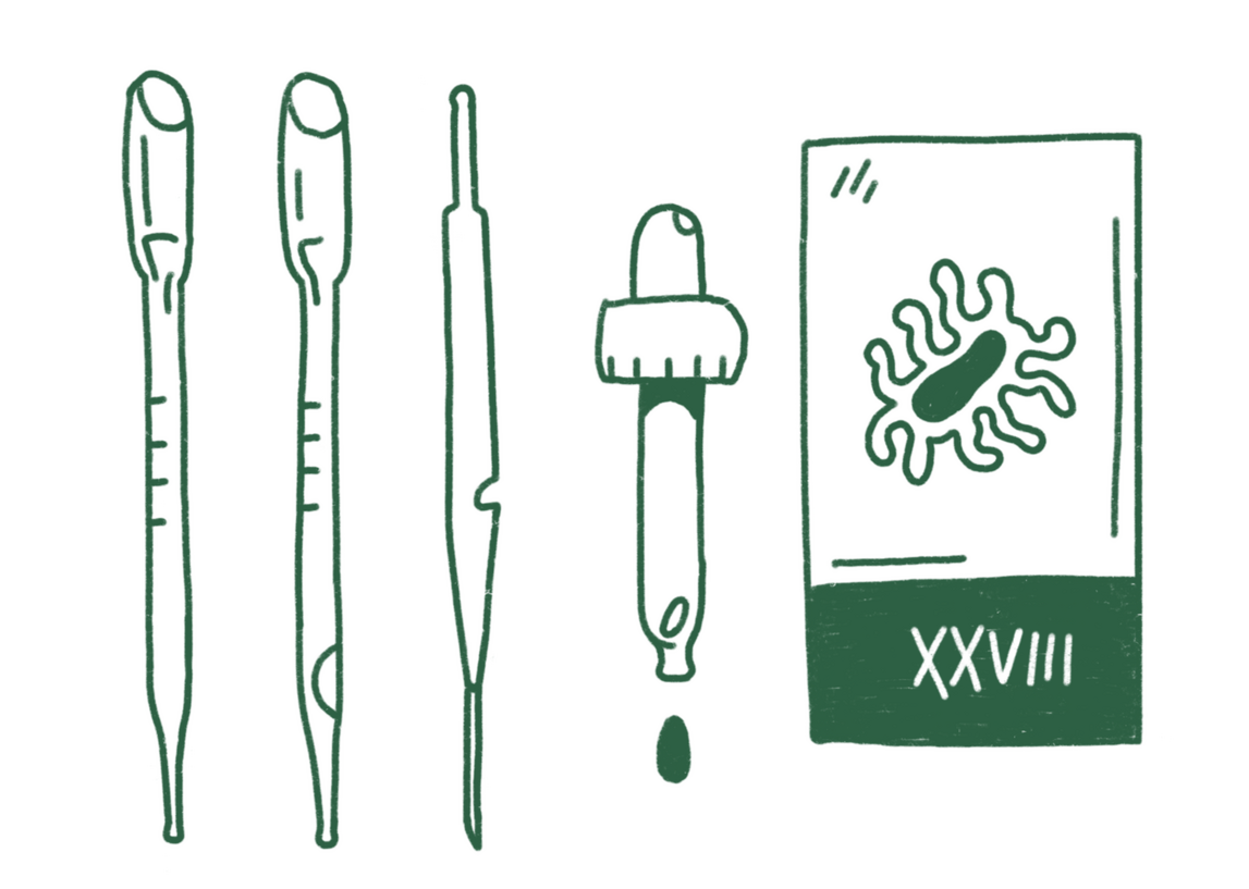 Primal Adomania staff illustration cont.