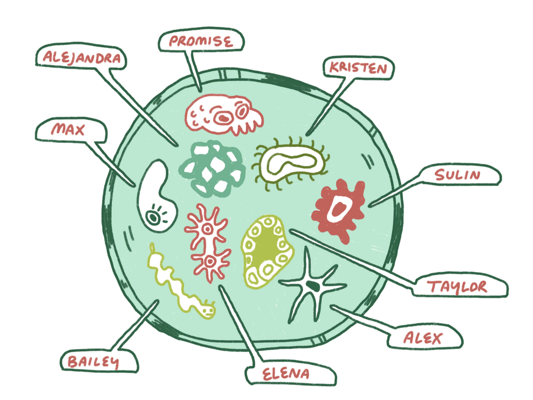 Primal Adomania staff illustration