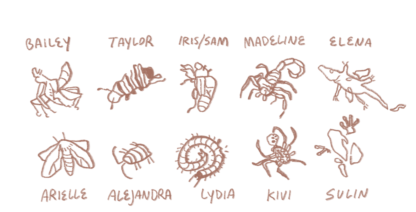 Ecdysis staff illustration