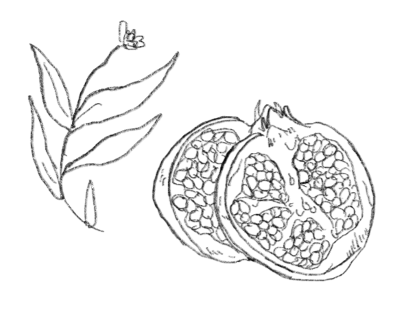 Pleasure Fruit page illustrations